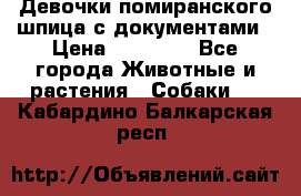 Девочки помиранского шпица с документами › Цена ­ 23 000 - Все города Животные и растения » Собаки   . Кабардино-Балкарская респ.